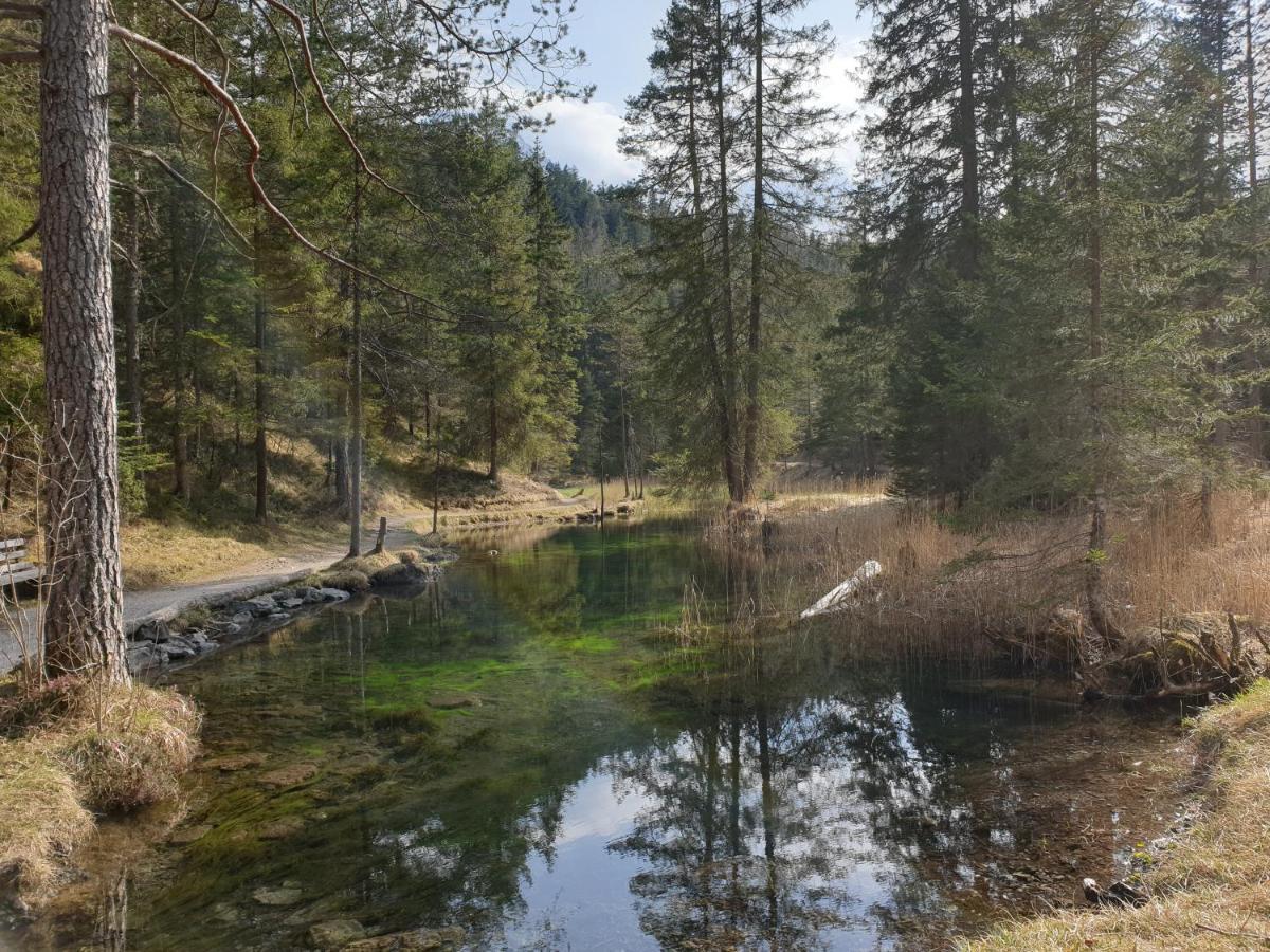 Haus Guem Daire Ehrwald Dış mekan fotoğraf
