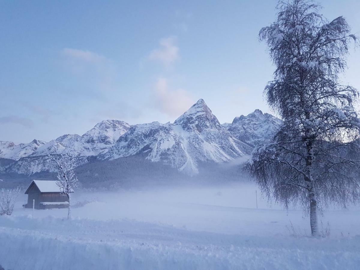 Haus Guem Daire Ehrwald Dış mekan fotoğraf